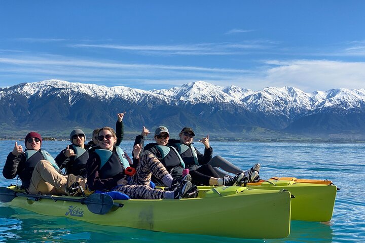 Excursión privada en kayak para ver focas y vida salvaje en Kaikoura