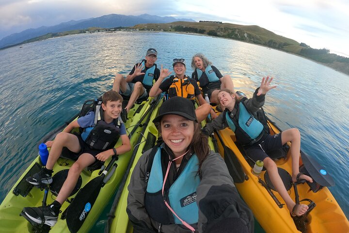 Excursión privada en kayak para ver focas y vida salvaje en Kaikoura