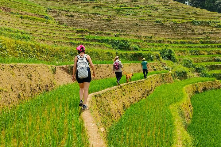 Dia inteiro Private Trekking Mu Cang Chai