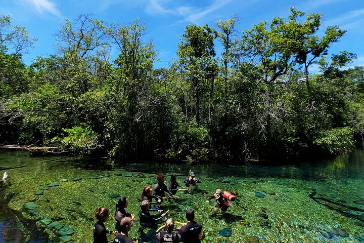 Ohne Anstehen: Recanto Ecologico Rio da Prata Ticket inklusive Trail & Schnorcheln
