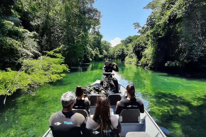 Ohne Anstehen: Recanto Ecologico Rio da Prata Ticket inklusive Trail & Schnorcheln