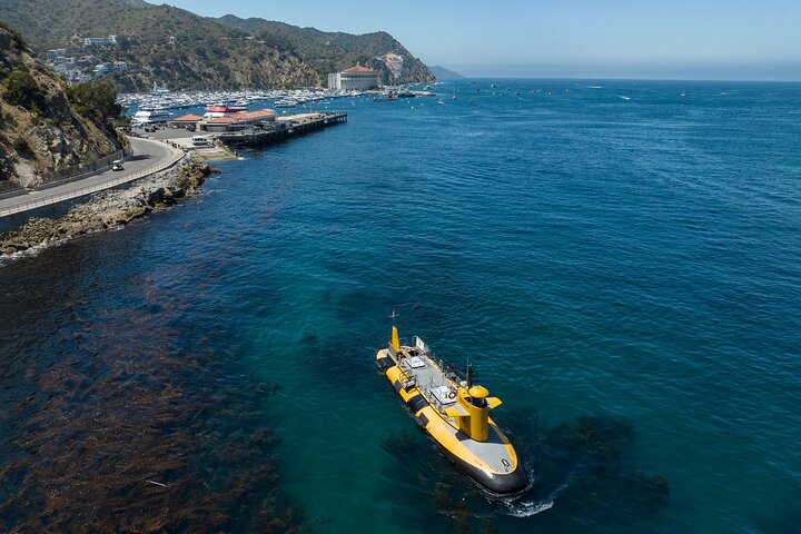 Tour in semi-sottomarino giallo dell'isola di Catalina da Avalon