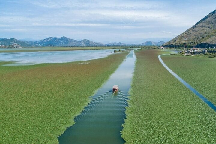 Virpazar Skadar Lake Tour in barca con fauna e natura