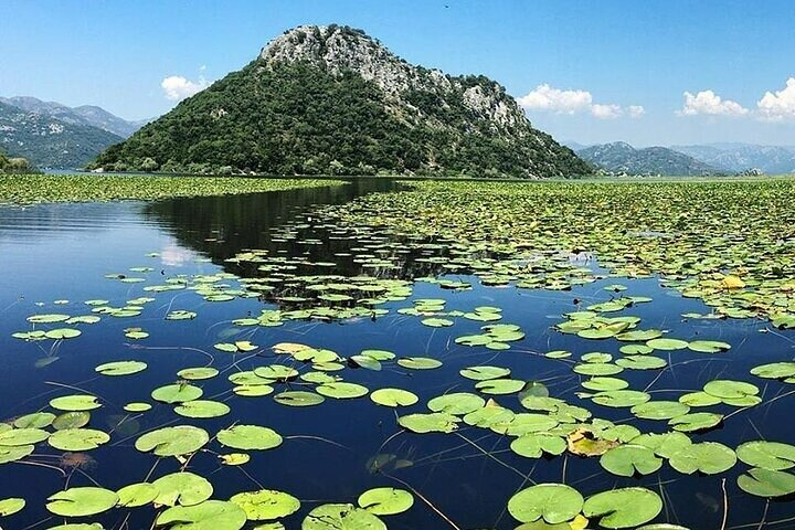 Virpazar Skadar Lake Tour in barca con fauna e natura