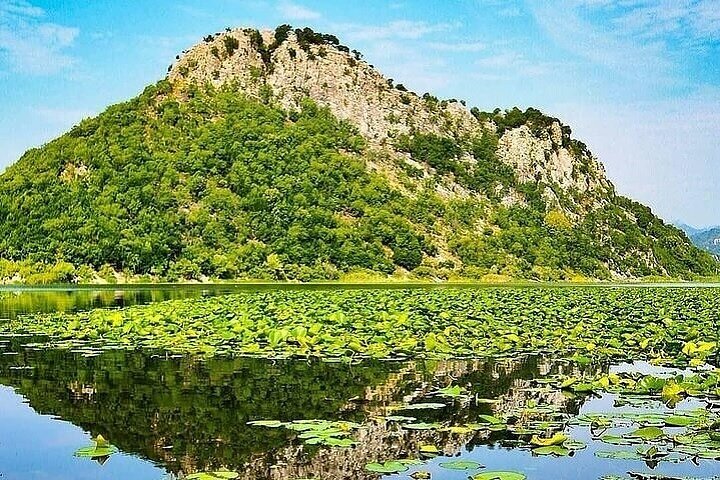 Virpazar Skadar Lake Tour in barca con fauna e natura