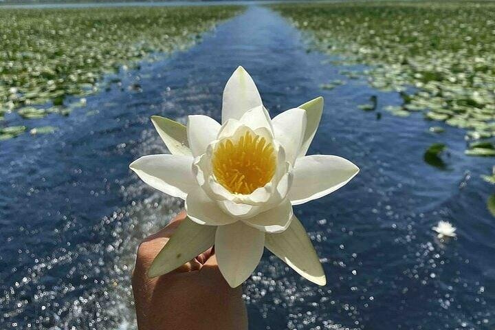 Virpazar Skadar Lake Tour in barca con fauna e natura