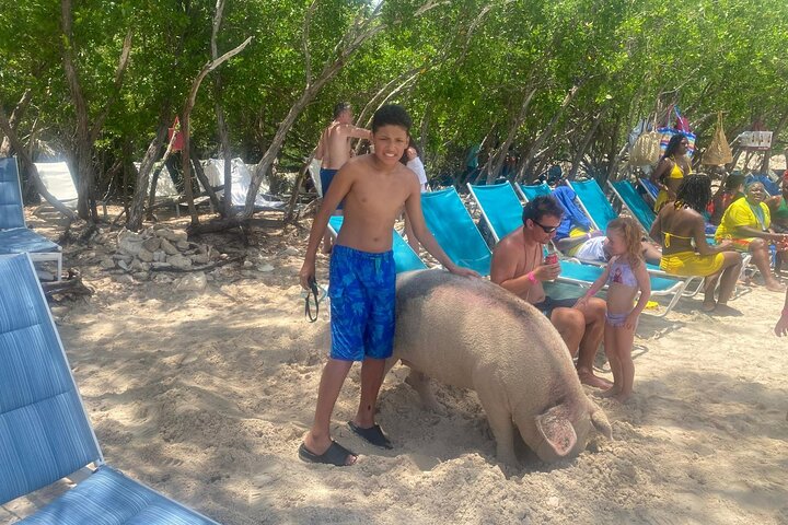 4 Std. Private Tour Insel Hop Schnorchel w / Schildkröten & Schluck Bahama Mamas