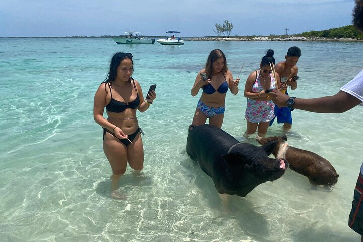4 Std. Private Tour Insel Hop Schnorchel w / Schildkröten & Schluck Bahama Mamas
