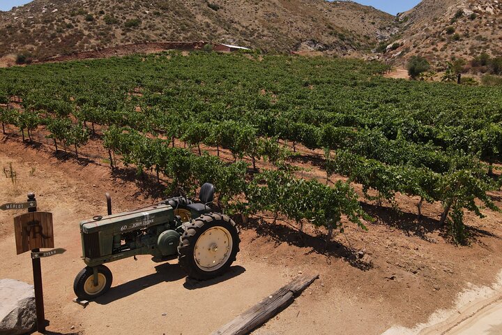 Customizable Guadalupe Wine Valley Tour