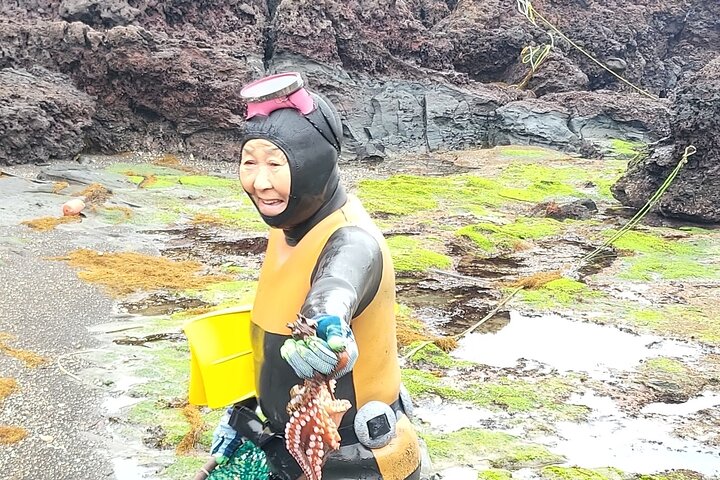 Passeio Privado Túnel de Lava de Manjanggul e Tour Leste na Ilha de Jeju