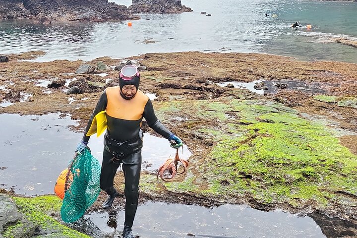 Passeio privado de um dia a leste, sul e oeste de todas as áreas da ilha de Jeju