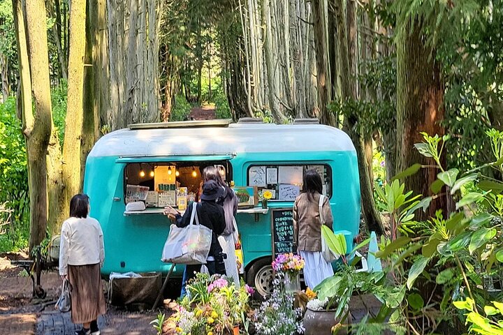 Passeio Privado Túnel de Lava de Manjanggul e Tour Leste na Ilha de Jeju
