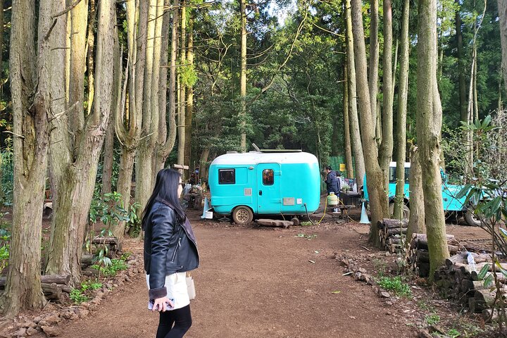 Passeio Privado Túnel de Lava de Manjanggul e Tour Leste na Ilha de Jeju