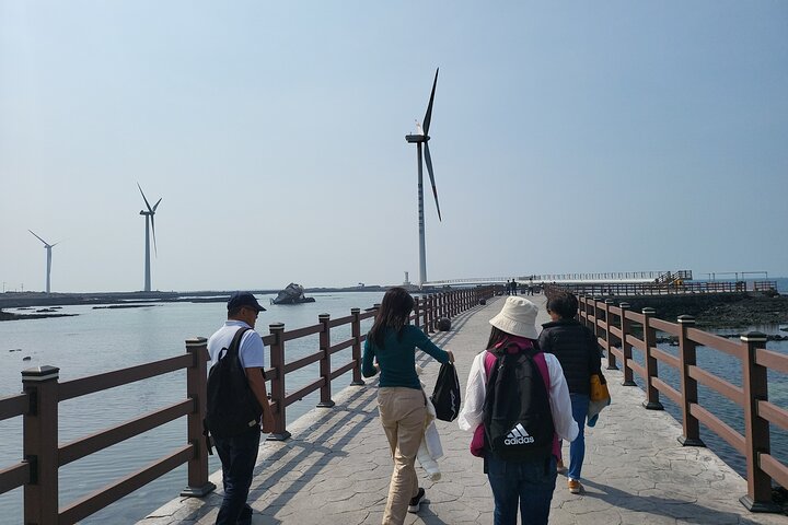 Passeio Privado Túnel de Lava de Manjanggul e Tour Leste na Ilha de Jeju