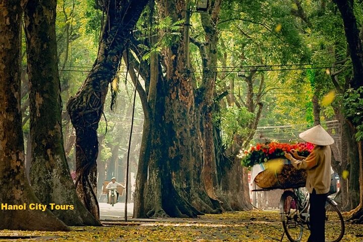 Hanoi Customized Private City Tour with Train Street