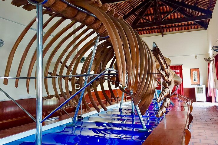 Mui Ne/Phan Thiet: Monte Ta Cu con funivia e Buddha sdraiato