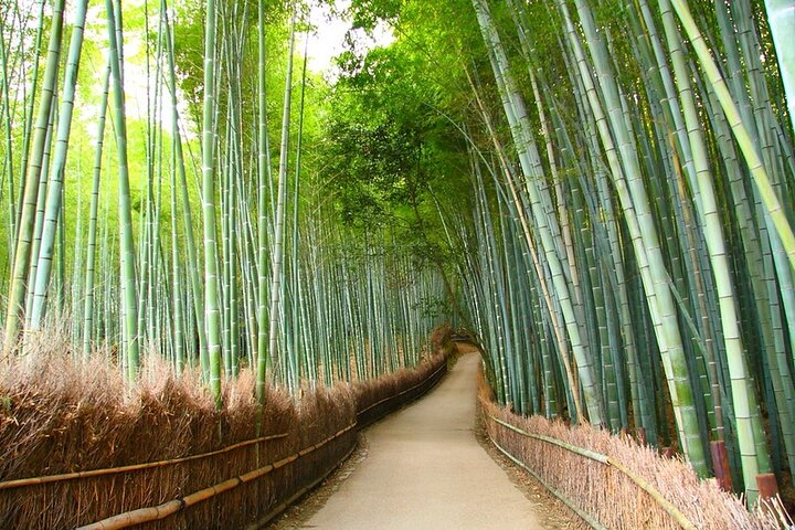 Hele dagtour door Kyoto met privévervoer