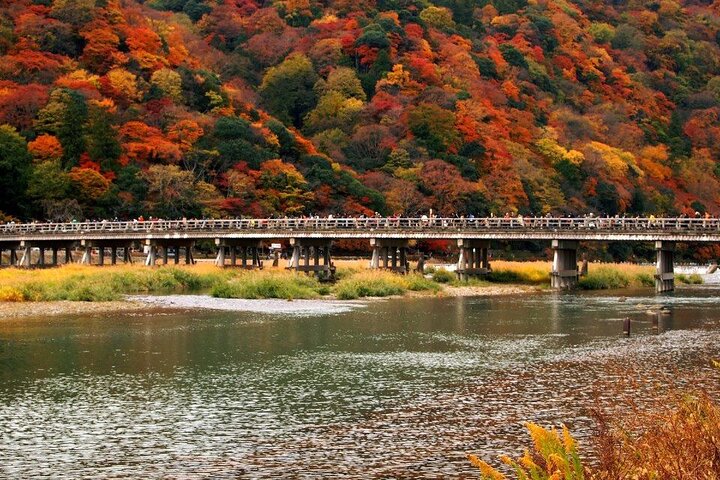 Hele dagtour door Kyoto met privévervoer