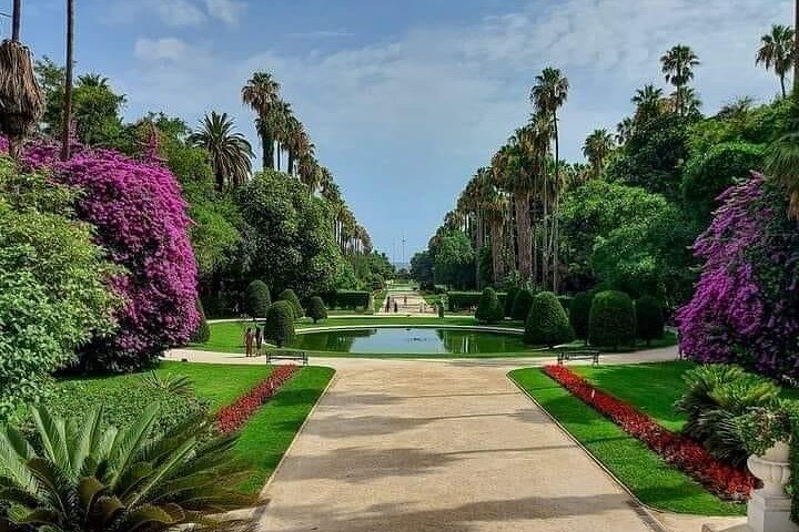 Discover Algiers on a Private Tour – Casbah, downtown and more