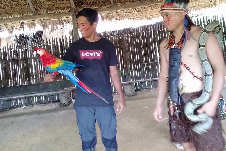 3 dias na selva da floresta tropical de Chuahurco - 5 cachoeiras - comunidade 3 Etni
