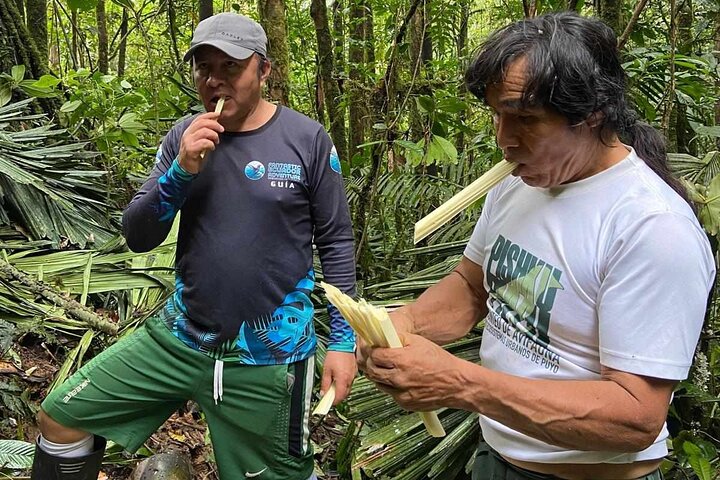 3 dias na selva da floresta tropical de Chuahurco - 5 cachoeiras - comunidade 3 Etni