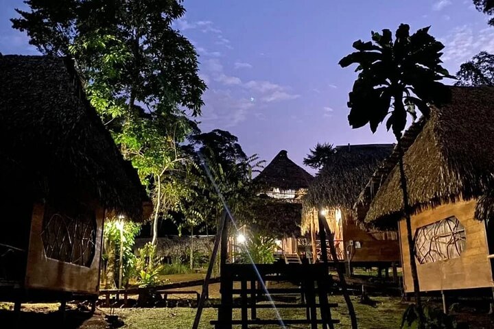 Yasuni Tours - 4 dagar 3 nätter - Från Puyo, Pastaza - Ecuador