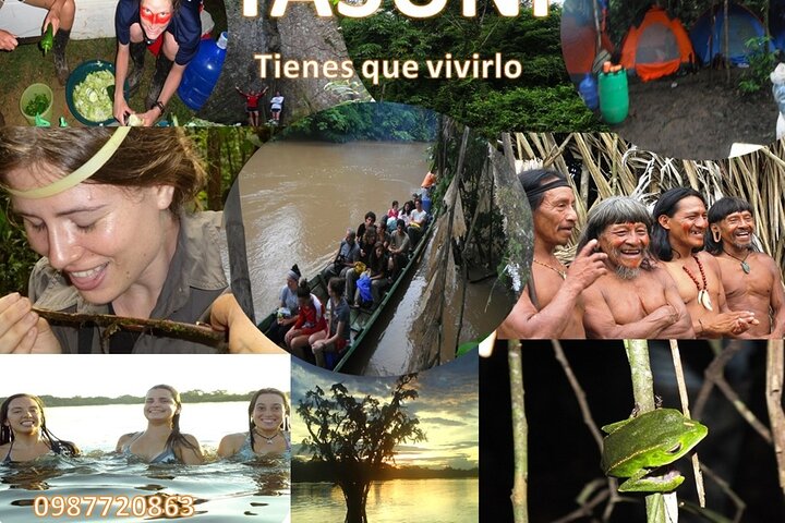 Yasuni Tours - 4 dagar 3 nätter - Från Puyo, Pastaza - Ecuador