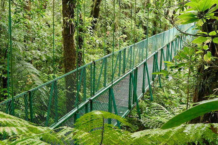 Selvatura Park Gold Package (kapell och hängande broar)