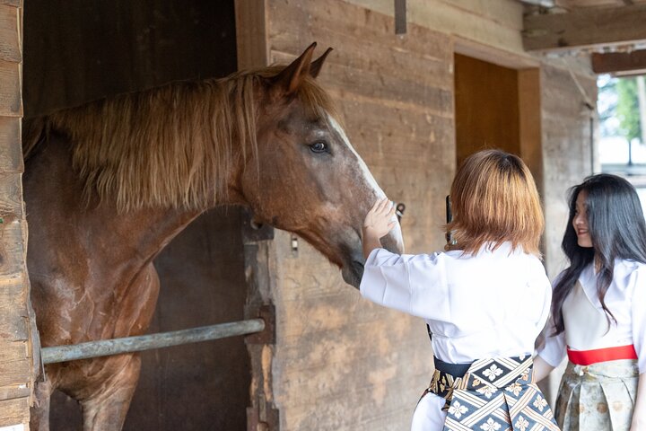 Experiencia privada de interacción con caballos cerca del Monte Fuji