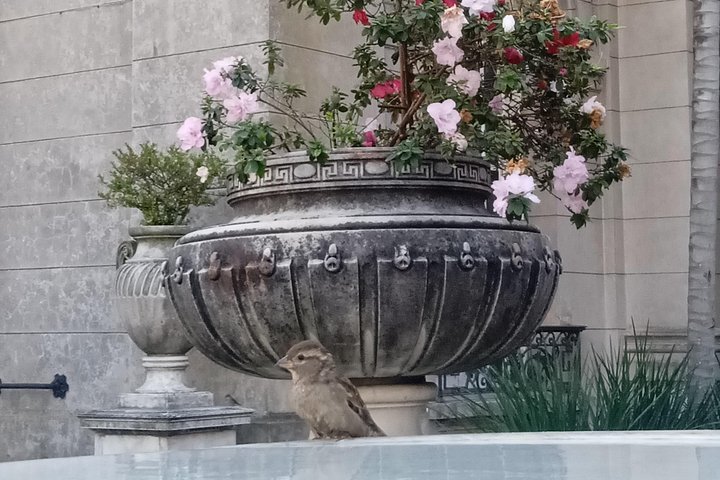 Private Tour in Montevideo with a local – Customize with Add-Ons