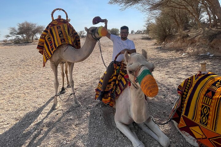 Edge of the World Riyadh Tour with Camel Ride & Dinner