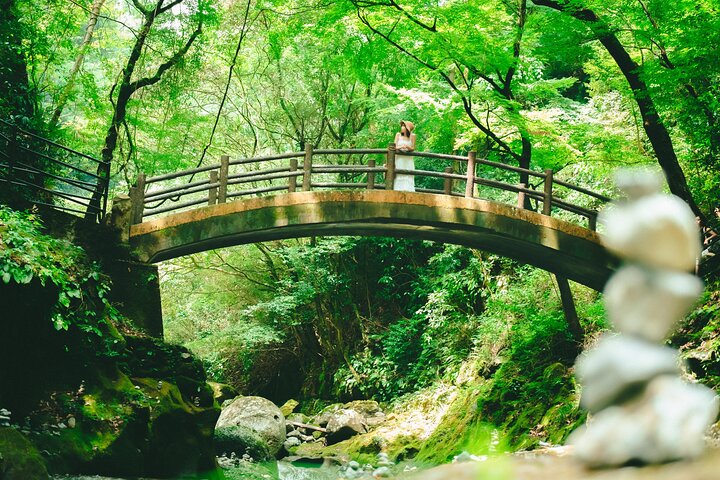 Von Kumamoto : Berg Aso und Takachiho All-inclusive Private Tour