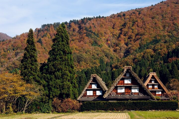 World Heritage Shirakawa-go Excursão guiada perfeita a partir de Kanazawa