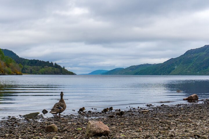 Loch Ness, Outlander & Urquhart Castle vanuit Inverness