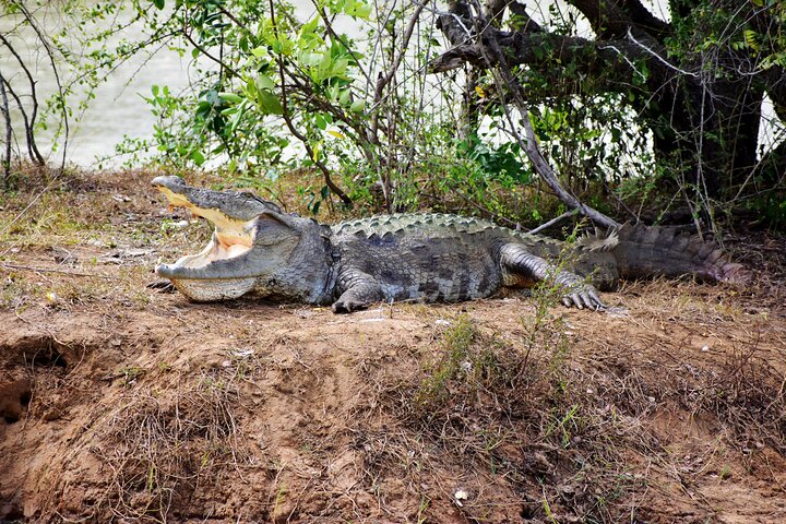 Parco nazionale di Udawalawe — 4 - Safari privato in jeep di 4 ore (ritiro)