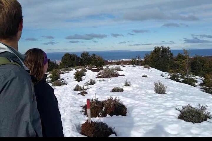 Reserva Nacional Magallanes y Tour por la ciudad de Punta Arenas