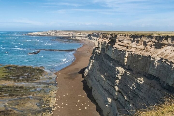Peninsula Valdés - FRÜHBUCHERANGEBOT -20 % RABATT - für Kreuzfahrtpassagiere