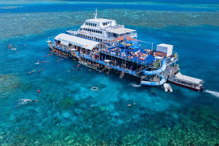 Sunlover Reef Cruises ofrece una gran experiencia de barrera de coral