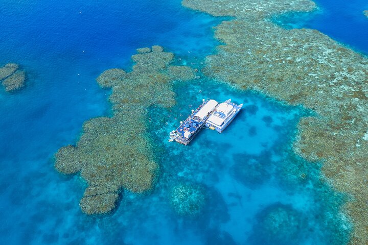 Sunlover Reef Cruises ofrece una gran experiencia de barrera de coral