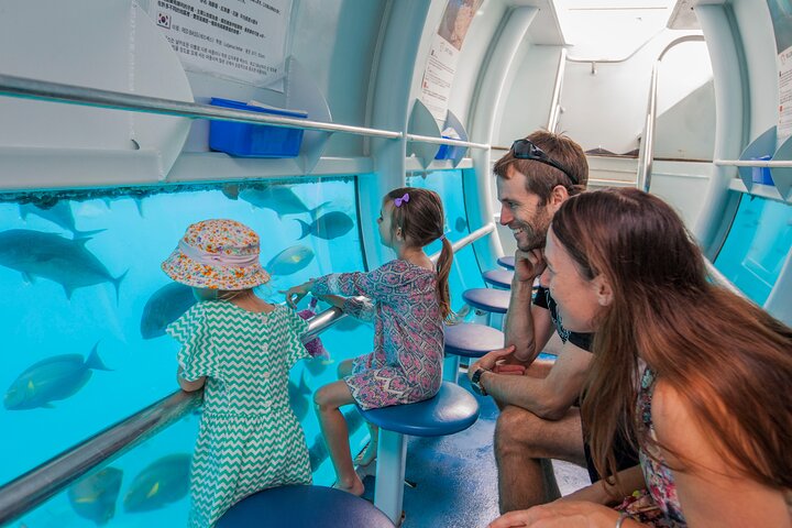 Sunlover Reef Cruises ofrece una gran experiencia de barrera de coral
