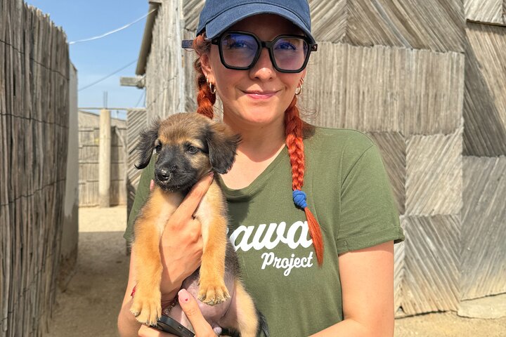 Bénévolat auprès des animaux et des communautés de Guajira
