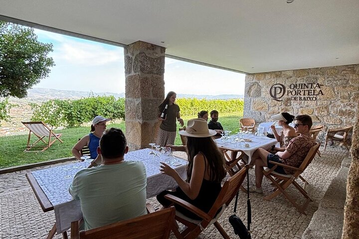 Melhor do Douro num Dia: Barco, Vinho e Almoço Familiar
