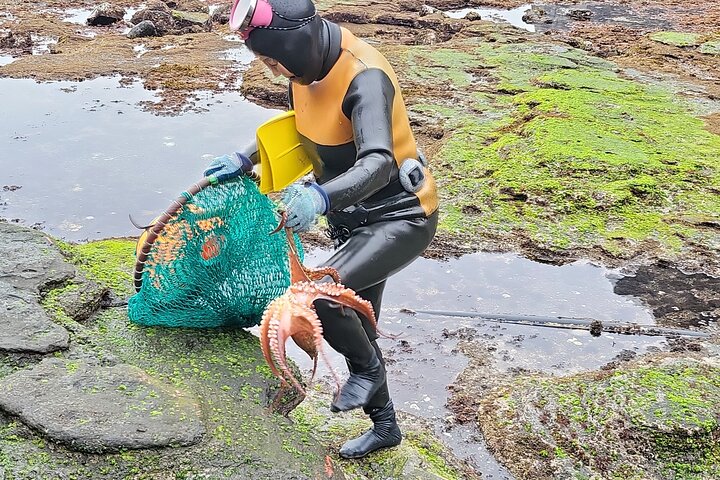 Passeio privado de um dia a leste, sul e oeste de todas as áreas da ilha de Jeju