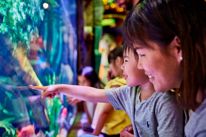 Ingressos para o SEA LIFE New Jersey no American Dream