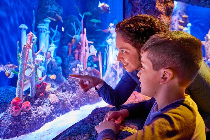 Ingressos para o SEA LIFE New Jersey no American Dream