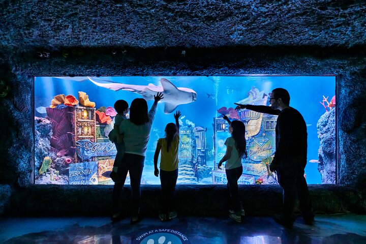 Ingressos para o SEA LIFE New Jersey no American Dream