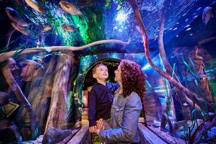 Ingressos para o SEA LIFE New Jersey no American Dream