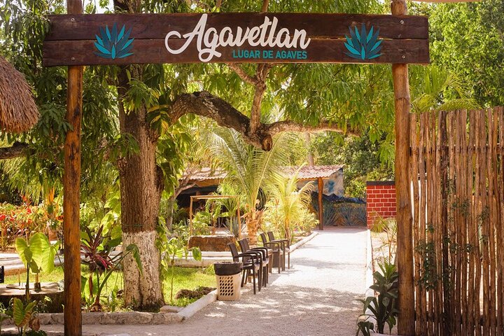ATV 4×4+Cenote+Snorkeling+Beach Club+ Lunch+Sabores de Cozumel