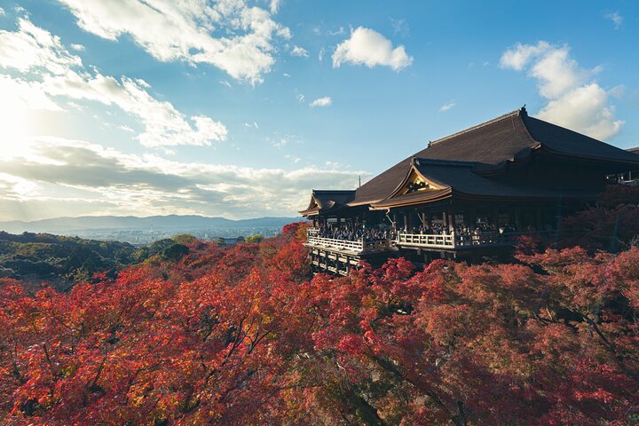 Hele dagtour door Kyoto met privévervoer