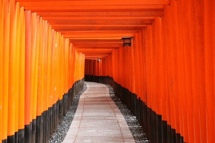 Hele dagtour door Kyoto met privévervoer